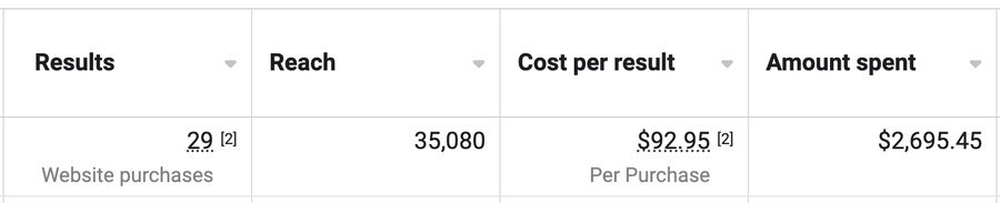 Ads Manager: 29 website purchases at $92.95 per purchase from $2,695.45 spent